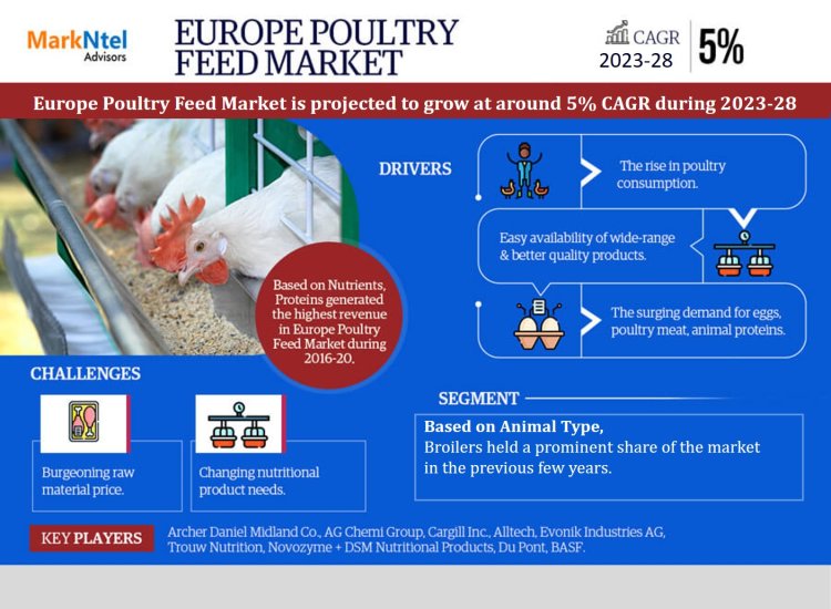 Europe Poultry Feed Market Share Analysis: Insights and Trends