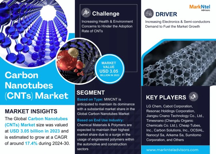 Carbon Nanotubes Market Growth Dynamics: Size, Share, and Trend Analysis Report