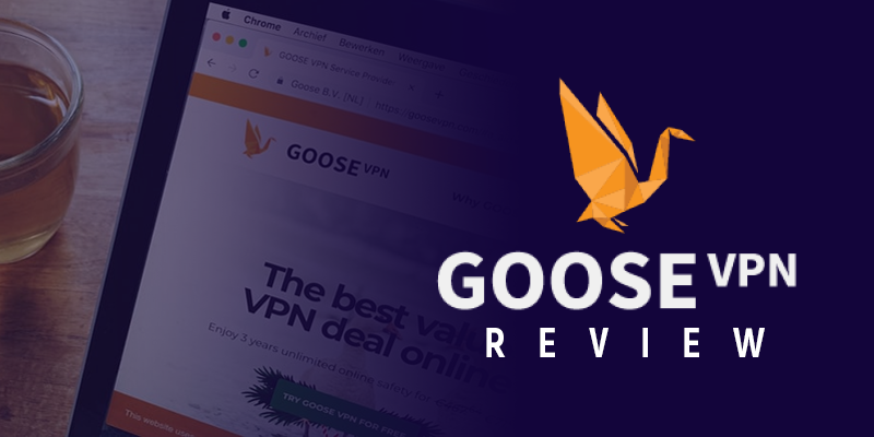 GooseVPN Review